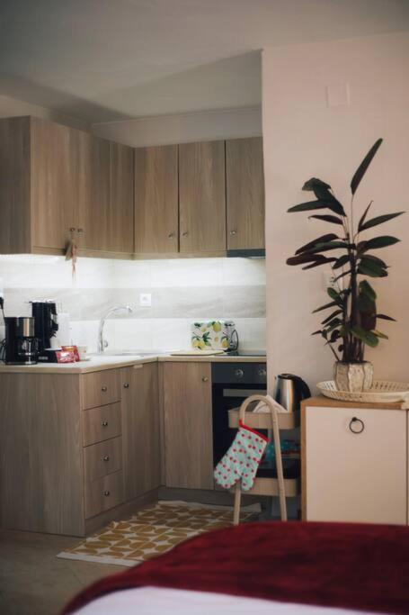 Appartement Το Σπίτι Της Ευτυχίας Στούντιο à Karpenísion Extérieur photo