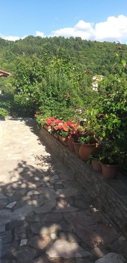 Appartement Το Σπίτι Της Ευτυχίας Στούντιο à Karpenísion Extérieur photo